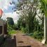 Terrain à vendre à Mengwi, Bali, Mengwi