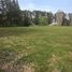  Land for sale in Brandsen, Buenos Aires, Brandsen