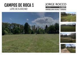  Land for sale in Brandsen, Buenos Aires, Brandsen