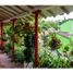 2 Bedroom House for sale in Bare Foot Park (Parque de los Pies Descalzos), Medellin, Medellin