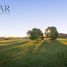  Land for sale in Tigre, Buenos Aires, Tigre