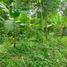  Land for sale in Bojong, Purwakarta, Bojong