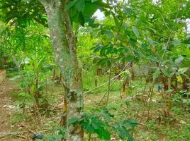  Land for sale in Bojong, Purwakarta, Bojong