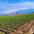  Land for sale in Tunuyan, Mendoza, Tunuyan