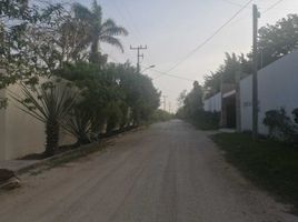 Terrain à vendre à Conkal, Yucatan, Conkal