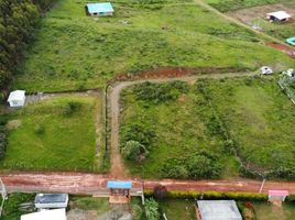  Terreno (Parcela) en venta en La Cumbre, Valle Del Cauca, La Cumbre