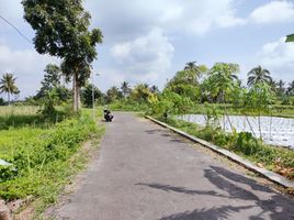  Land for sale in Kalasan, Sleman, Kalasan