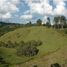 Terrain à vendre à Rionegro, Antioquia, Rionegro, Antioquia