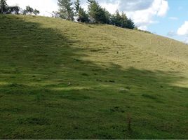 Terrain à vendre à Rionegro, Antioquia, Rionegro, Antioquia