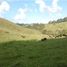 Terrain à vendre à Rionegro, Antioquia, Rionegro, Antioquia