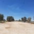  Land for rent in Mexicali, Baja California, Mexicali, Baja California