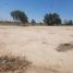  Land for rent in Mexicali, Baja California, Mexicali, Baja California