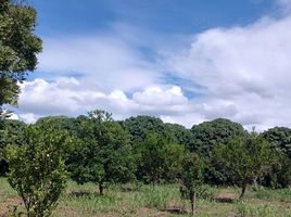 Terrain à vendre à Tuxpan, Veracruz, Tuxpan