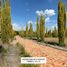  Land for sale in Tuta, Boyaca, Tuta