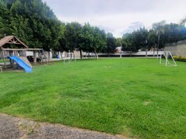  Land for sale in Calpan, Puebla, Calpan