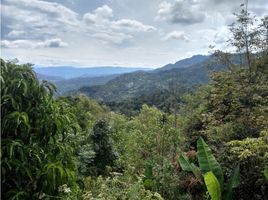 Estudio Casa en venta en Colombia, San Antonio Del Tequendama, Cundinamarca, Colombia