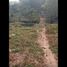  Terreno (Parcela) en venta en Padalarang, West Jawa, Padalarang, Bandung