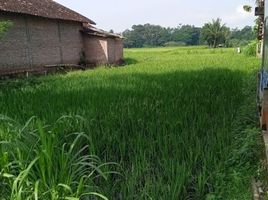  Grundstück zu verkaufen in Seyegan, Yogyakarta, Seyegan, Sleman, Yogyakarta
