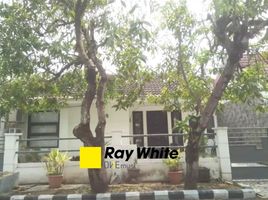 3 Bedroom House for sale in Wiyung, Surabaya, Wiyung