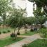 3 Bedroom House for sale in Vetagrande, Zacatecas, Vetagrande