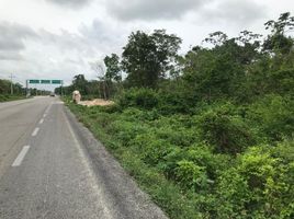  Terreno (Parcela) en venta en Felipe Carrillo Puerto, Quintana Roo, Felipe Carrillo Puerto