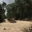  Terreno (Parcela) en venta en Felipe Carrillo Puerto, Quintana Roo, Felipe Carrillo Puerto