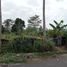  Terreno (Parcela) en venta en Pakem, Yogyakarta, Pakem, Sleman