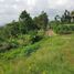  Terreno (Parcela) en venta en Ngamprah, West Jawa, Ngamprah, Bandung, West Jawa