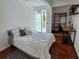 구스타보 마드로, 멕시코 시티PropertyTypeNameBedroom, 구스타보 마드로