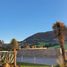  Land for sale in Garcia, Nuevo Leon, Garcia