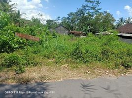  Grundstück zu verkaufen in Pakem, Yogyakarta, Pakem, Sleman