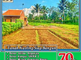  Tanah for sale in Malang Regency, East Jawa, Kepanjen, Malang Regency