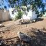 2 Schlafzimmer Villa zu verkaufen in Merida, Yucatan, Merida