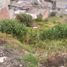  Terreno (Parcela) en venta en Quito, Pichincha, Quito, Quito