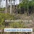  Land for sale in Tepus, Gunung Kidul, Tepus