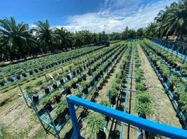  Grundstück zu vermieten in Kuala Selangor, Selangor, Jeram, Kuala Selangor