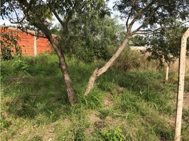  Land for sale in Misiones, Capital, Misiones