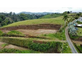  Land for sale in Pereira, Risaralda, Pereira