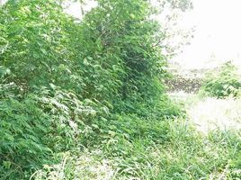  Terreno (Parcela) en venta en Seyegan, Yogyakarta, Seyegan