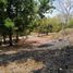  Land for sale in El Higo, San Carlos, El Higo