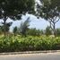  Land for sale in O Cho Dua, Hanoi, O Cho Dua, Dong Da, Hanoi