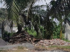  Grundstück zu verkaufen in Rungkut, East Jawa, Rungkut