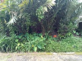  Terreno (Parcela) en venta en Seyegan, Yogyakarta, Seyegan, Sleman, Yogyakarta