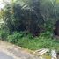  Terreno (Parcela) en venta en Seyegan, Yogyakarta, Seyegan, Sleman, Yogyakarta