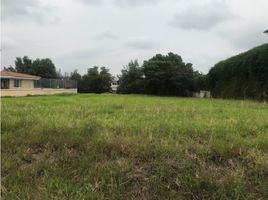  Grundstück zu verkaufen in Cumbaya, Pichincha, Cumbaya