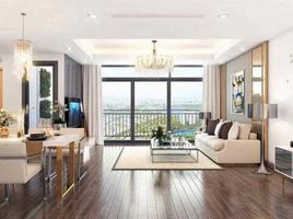 4 chambre Appartement for sale in District 7, Ho Chi Minh City, Tan Phu, District 7