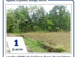  Land for sale in Bantul, Yogyakarta, Sedayu, Bantul