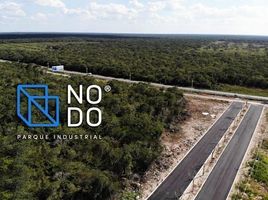  Terreno (Parcela) en venta en Hunucma, Yucatán, Hunucma