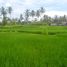  Tanah for sale in Tampak Siring, Gianyar, Tampak Siring