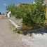 3 Habitación Villa en venta en Nogales, Sonora, Nogales